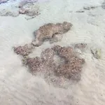 Casa Bianca & Blu A Due Passi Dal Mare Lägenhet