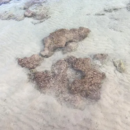 Casa Bianca&blu A Due Passi Dal Mare Appartamento