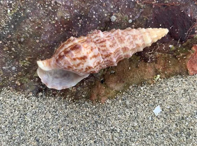 Casa Bianca & Blu A Due Passi Dal Mare * Lido Marini