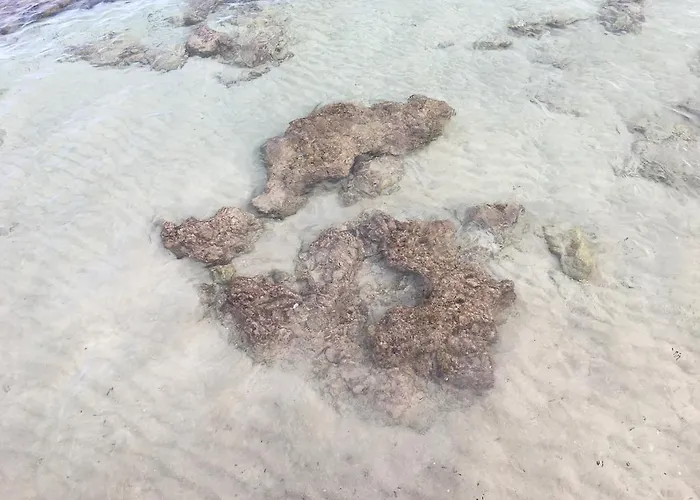 Casa Bianca & Blu A Due Passi Dal Mare Apartment